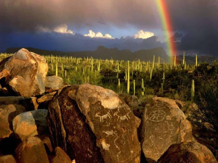 Hohokam Petroglyphs, Saguaro National Park, Arizona