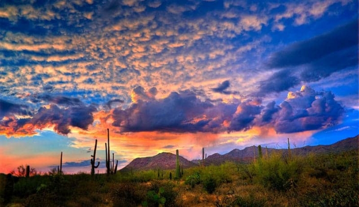 tucson