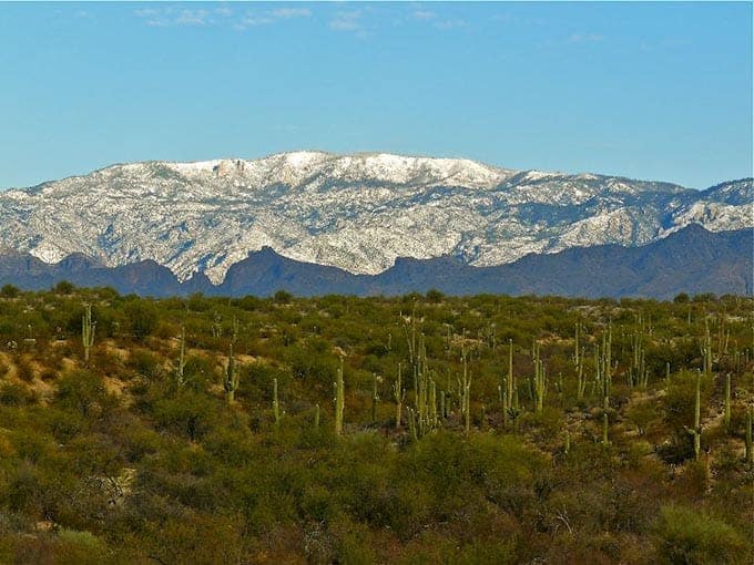 Mindful Tucson Winters Mindful Tucson Winters