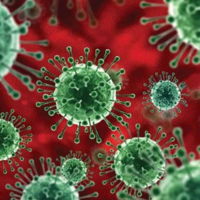 Virus