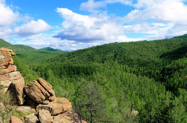 Gila Release Yoga Retreat
