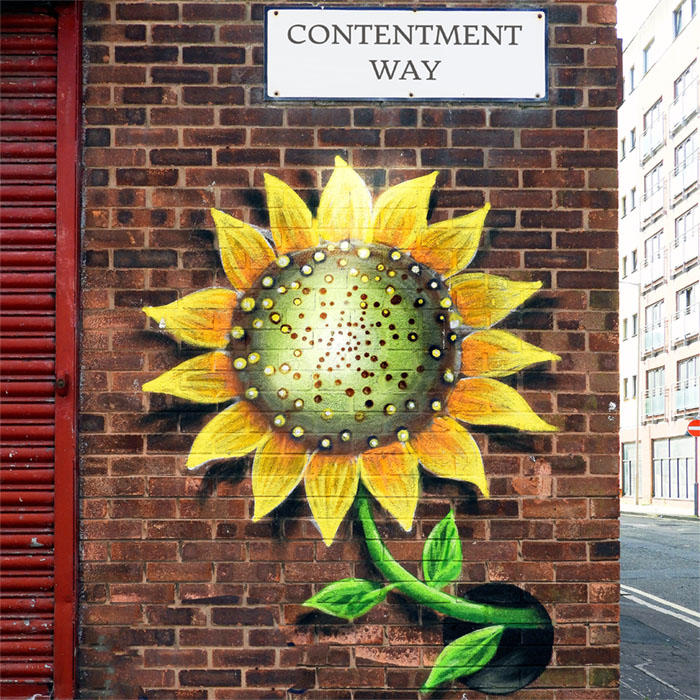 The Way of Contentment