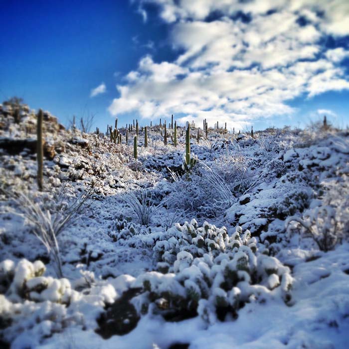 Winter Solstice Tucson