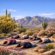 Yin Yoga Tucson