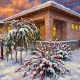 Winter Solstice at the Sol Center