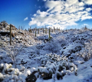 Winter Solstice Tucson