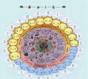 Yin Yoga for the 12 Meridians